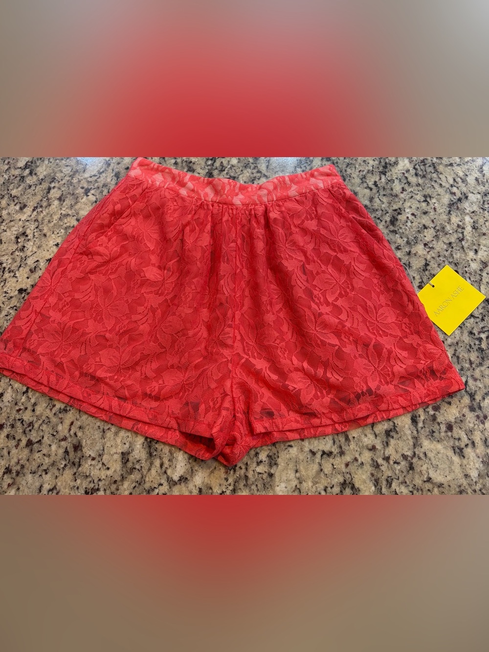 Aaron Ashe Coral Lace High Waist Women's 100% Silk Shorts